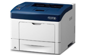 Máy in Laser Fuji Xerox | Máy in mạng Laser Fuji Xerox DocuPrint P455d