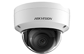 Camera IP HIKVISION | Camera IP Dome hồng ngoại 2.0 Megapixel HIKVISION DS-2CD2123G0-I