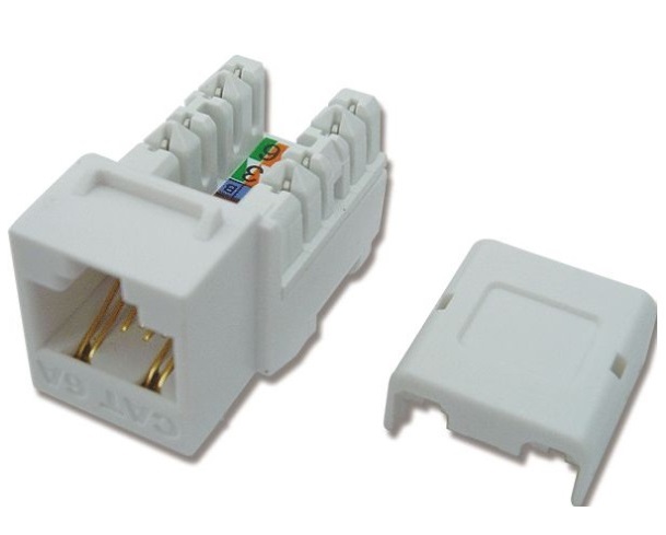 Modular Jack - Ổ cắm CAT.6A for 10GB DINTEK (1305-05008)