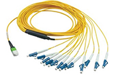 Phụ kiện quang VIVANCO | MPO-LC Fast Termination Optical Fibre Patch Cord VIVANCO VCS908-B2D-02