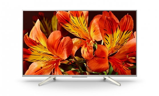 Màn hình LED 49 inch BRAVIA 4K SONY FW-49BZ35F