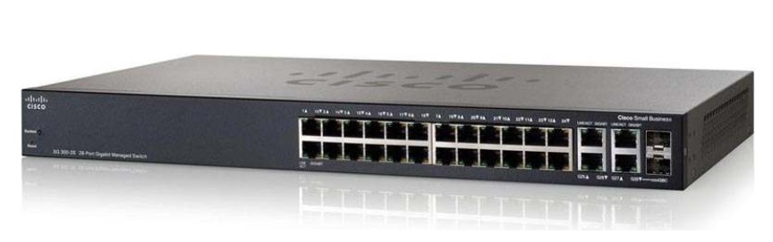 28-Port Gigabit PoE Managed Cisco SRW2024P-K9-EU