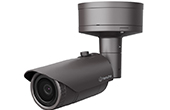 Camera IP Hanwha Vision | Camera IP hồng ngoại 5.0 Megapixel Hanwha Vision XNO-8030R