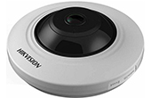 Camera IP HIKVISION | Camera IP Fisheye hồng ngoại 3.0 Megapixel HIKVISION DS-2CD2935FWD-IS