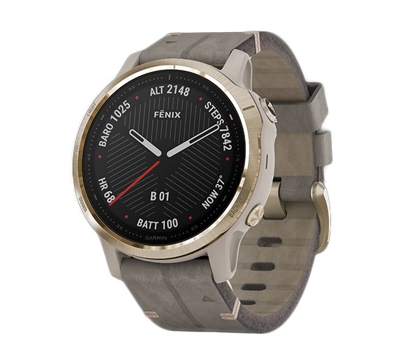 Đồng hồ thông minh Garmin Fenix 6S 010-02159-8P