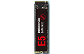 Ổ cứng SSD EEKOO | Ổ cứng SSD M2 EEKOO E5 - 256GB