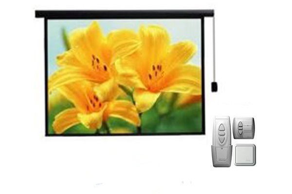 Màn chiếu điện điều khiển từ xa 100 inch REGENT MS100H