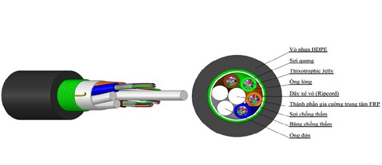 Cáp quang luồn cống 8FO có băng thép chống gặm nhấm SACOM DUA8