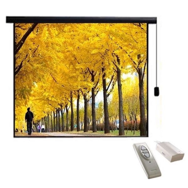 Màn chiếu điện Electric DALITE 120” x 90” (3.05 x 2.29m)