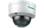 Camera IP TIANDY | Camera IP Dome hồng ngoại 8.0 Megapixel TIANDY TC-C38KS (I3/E/Y/2.8mm/V4.0)