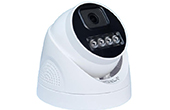 Camera IP J-TECH | Camera IP Dome Full Color 4.0 Megapixel J-TECH UHDP5284DL