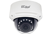 Camera GOLDEYE | Camera Dome HDVI Hybird hồng ngoại 2.0 Megapixel Goldeye GE-HFD120