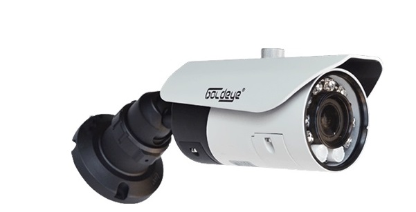 Camera IP hồng ngoại 4.0 Megapixel Goldeye GE-NMW640