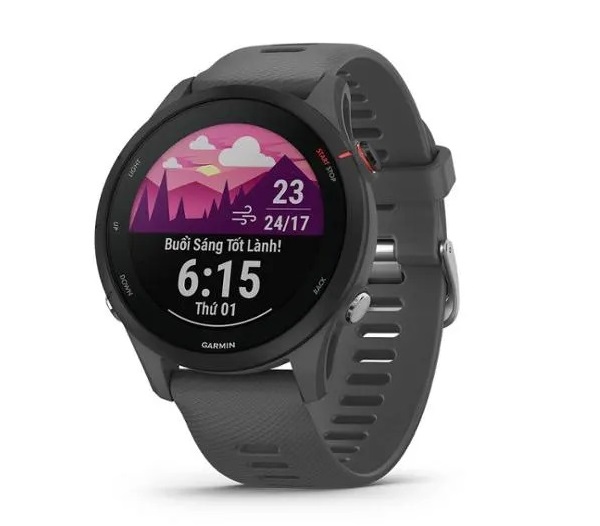 Đồng hồ thông minh Garmin Forerunner 255 Slate Gray (010-02641-43)