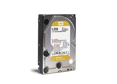 Ổ cứng HDD 1TB Western Gold WD1005FBYZ