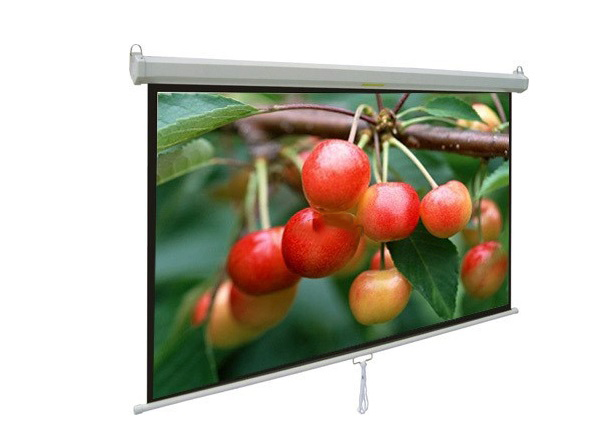 Màn chiếu treo tường 80-inch APOLLO MNS160