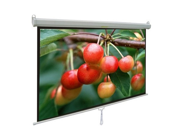 Màn chiếu treo tường 100-inch APOLLO MNS180