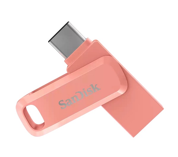 USB type-C 256GB SanDisk SDDDC3-256G-G46PC