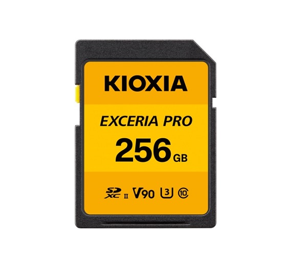 Thẻ nhớ 256GB Kioxia LNPR1Y256GG4