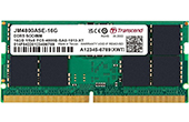 RAM Transcend | RAM Laptop DDR5-4800 16GB Transcend JM4800ASE-16G