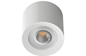 Đèn LED thông minh LOXONE | LED Ceiling Spot RGBW Tree White LOXONE (100503)