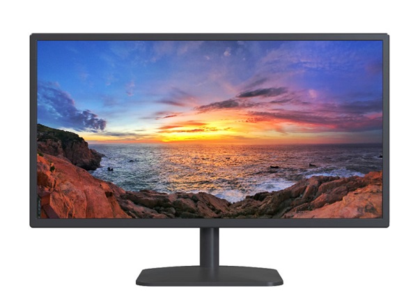 Màn hình giám sát 18.5-inch DAHUA DHI-LM19-A202F